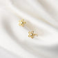 Stud Earrings